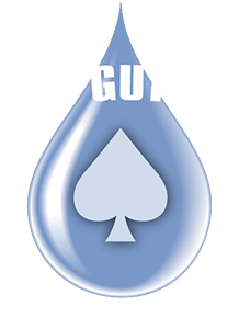 Ace Gutter Inc