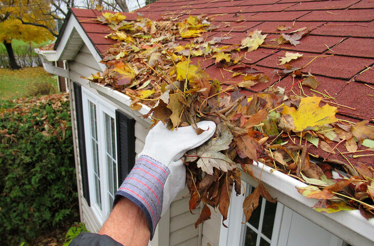 Leaf Guards for Gutter Cleaning