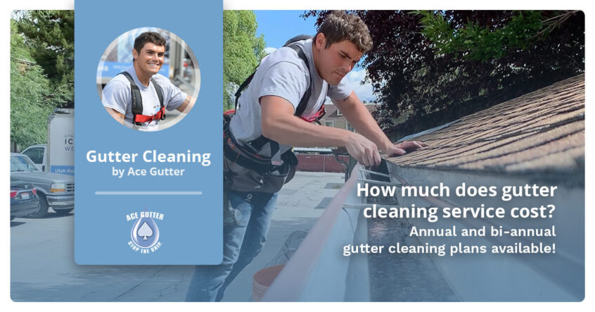 how much does gutter cleaning cost