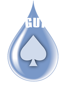 Ace Gutter Logo