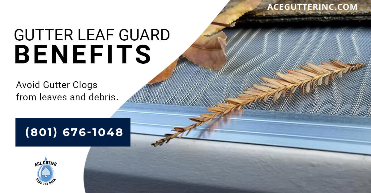 Featured image for “Gutter Leaf Guards: 8 Do’s and Don’ts of Gutter Protection and Maintenance”