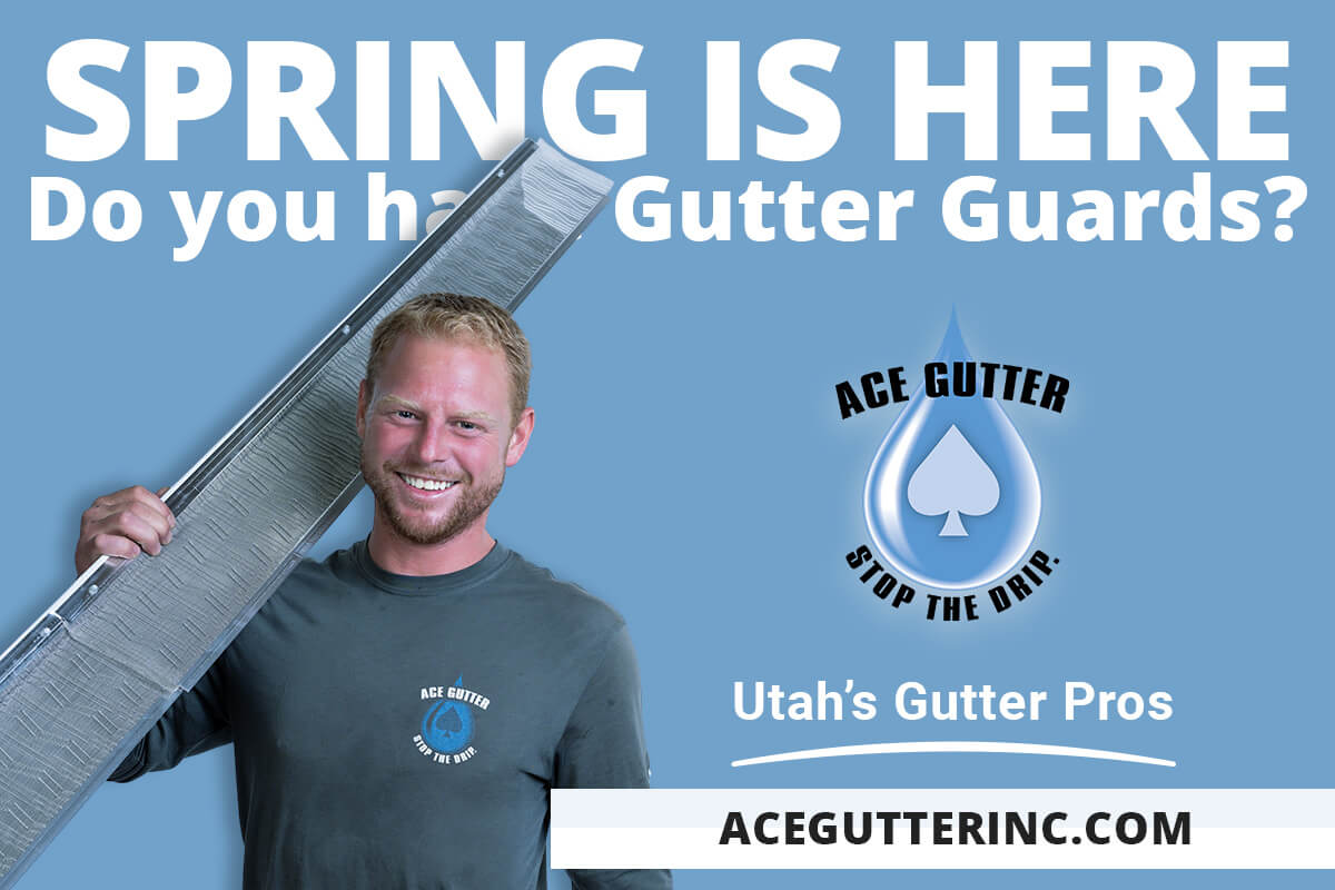Featured image for “Why Gutter Guards Should Be Your Priority This Spring”
