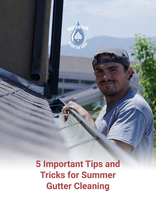 5 Important Tips and Tricks for Summer Gutter Cleaning Cover Image