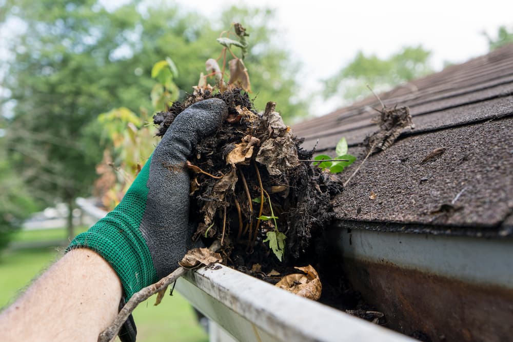 Removing packed leaves and soil buildup from a clogged gutter