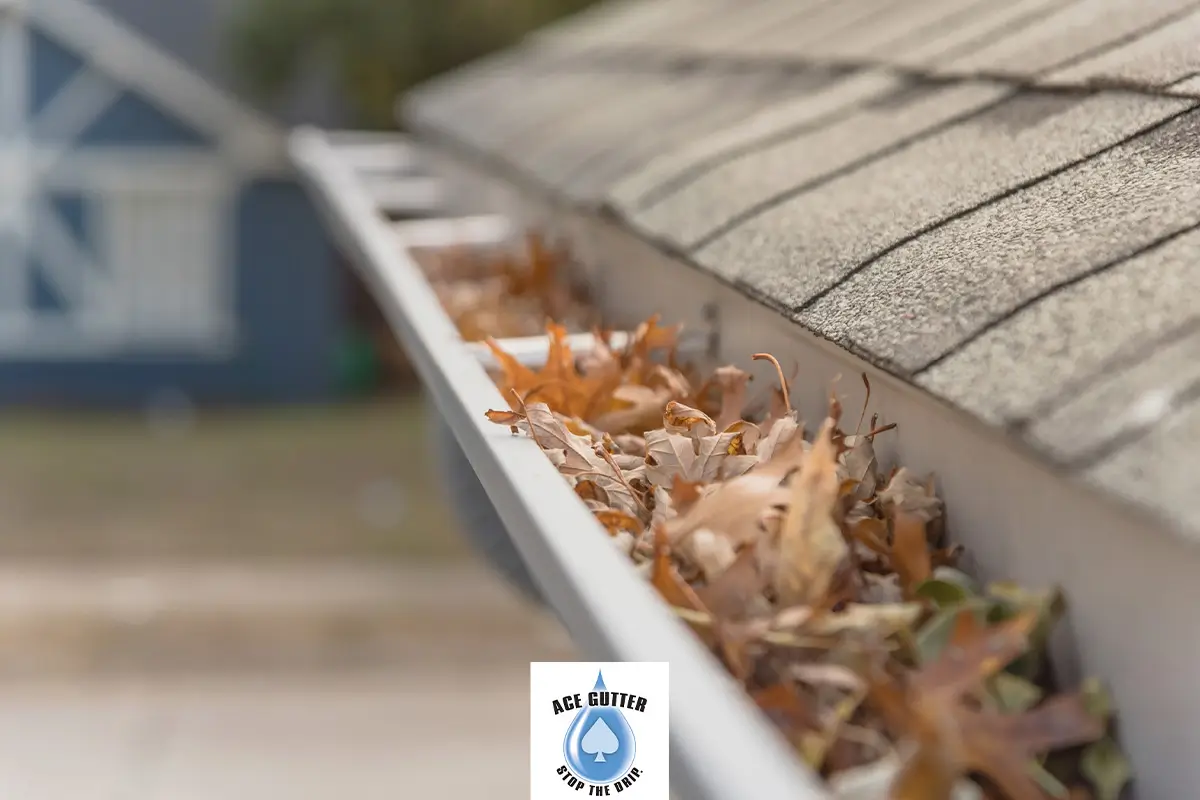 Featured image for “What Are the Risks of Neglecting Gutter Cleaning?”