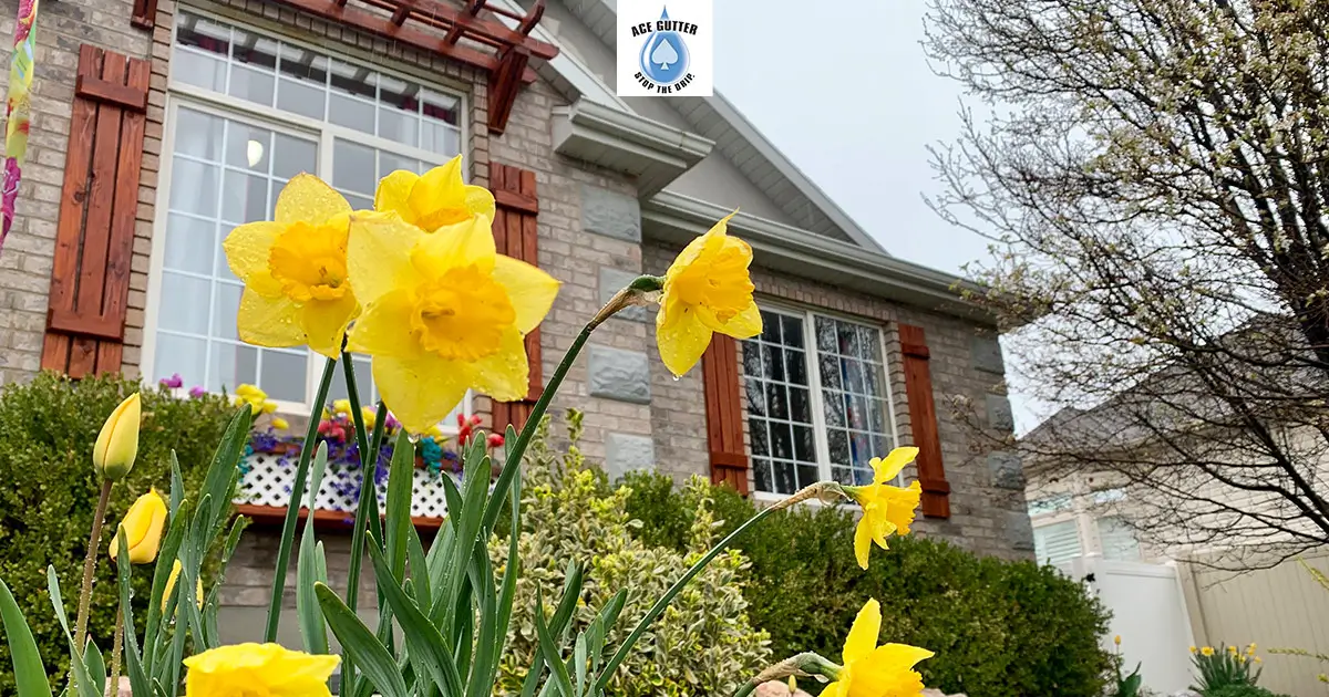 Featured image for “How Gutter Placement Affects Your Landscaping and Garden Health”