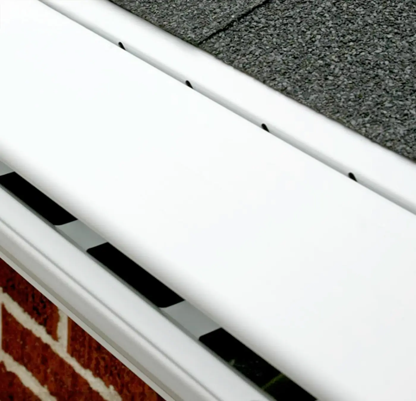 Leaf Sentry regular panel