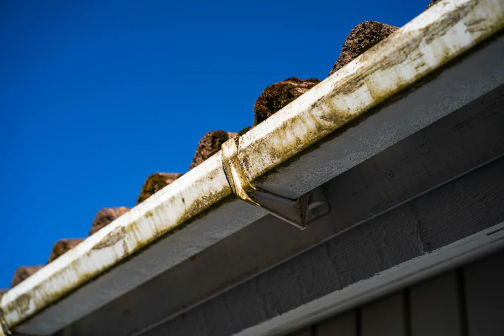 Moss and grime buildup restricting water flow in an aging gutter