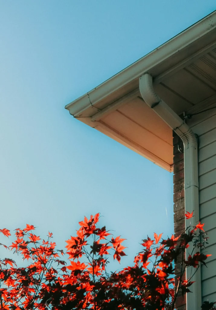 Well-maintained gutter and downspout protecting a home’s exterior